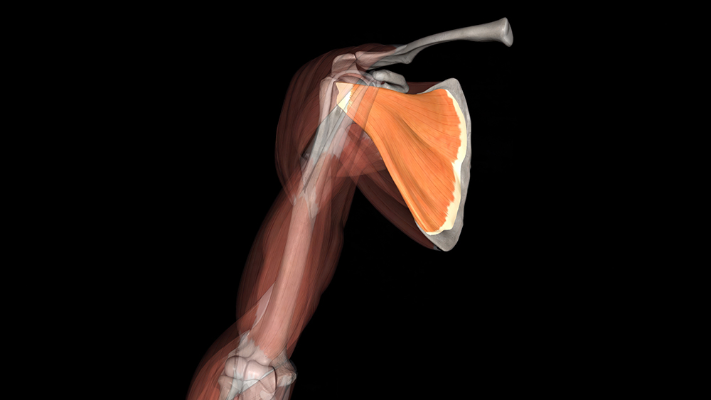근감소증 자가진단