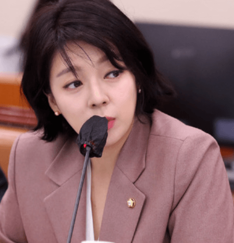 배현진 피습 범인 중학생