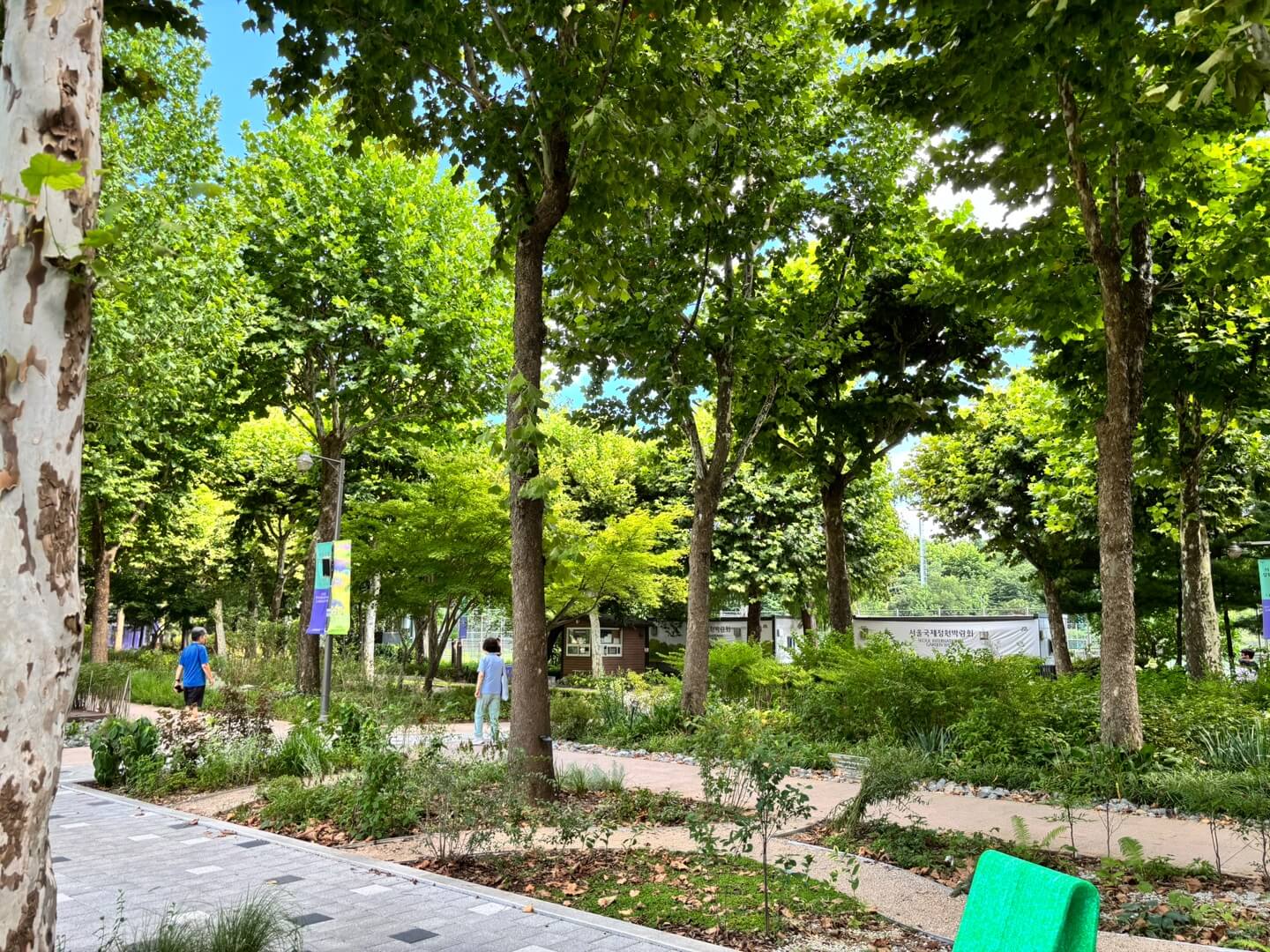 보라매공원 풍경사진