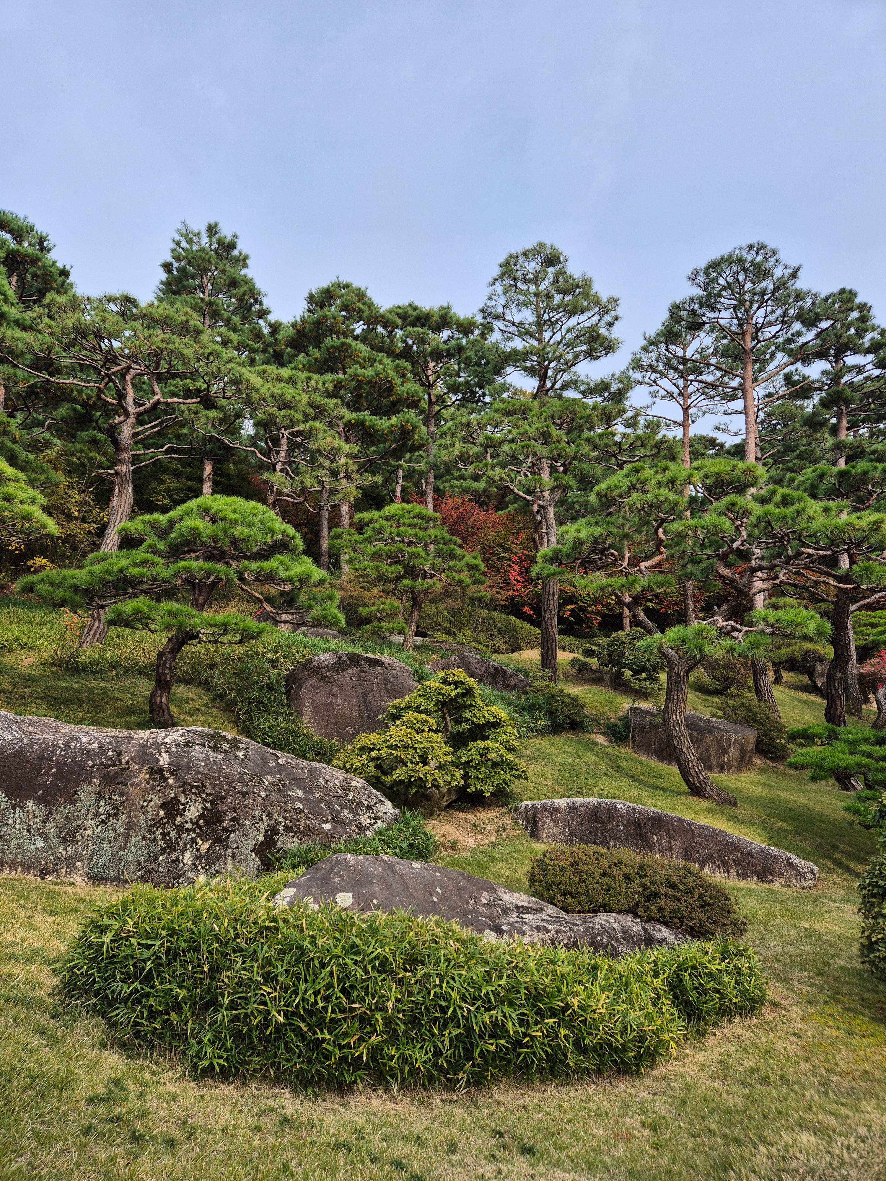 화담숲 산책기｜자연 속 힐링 스팟 예약 하러 가기