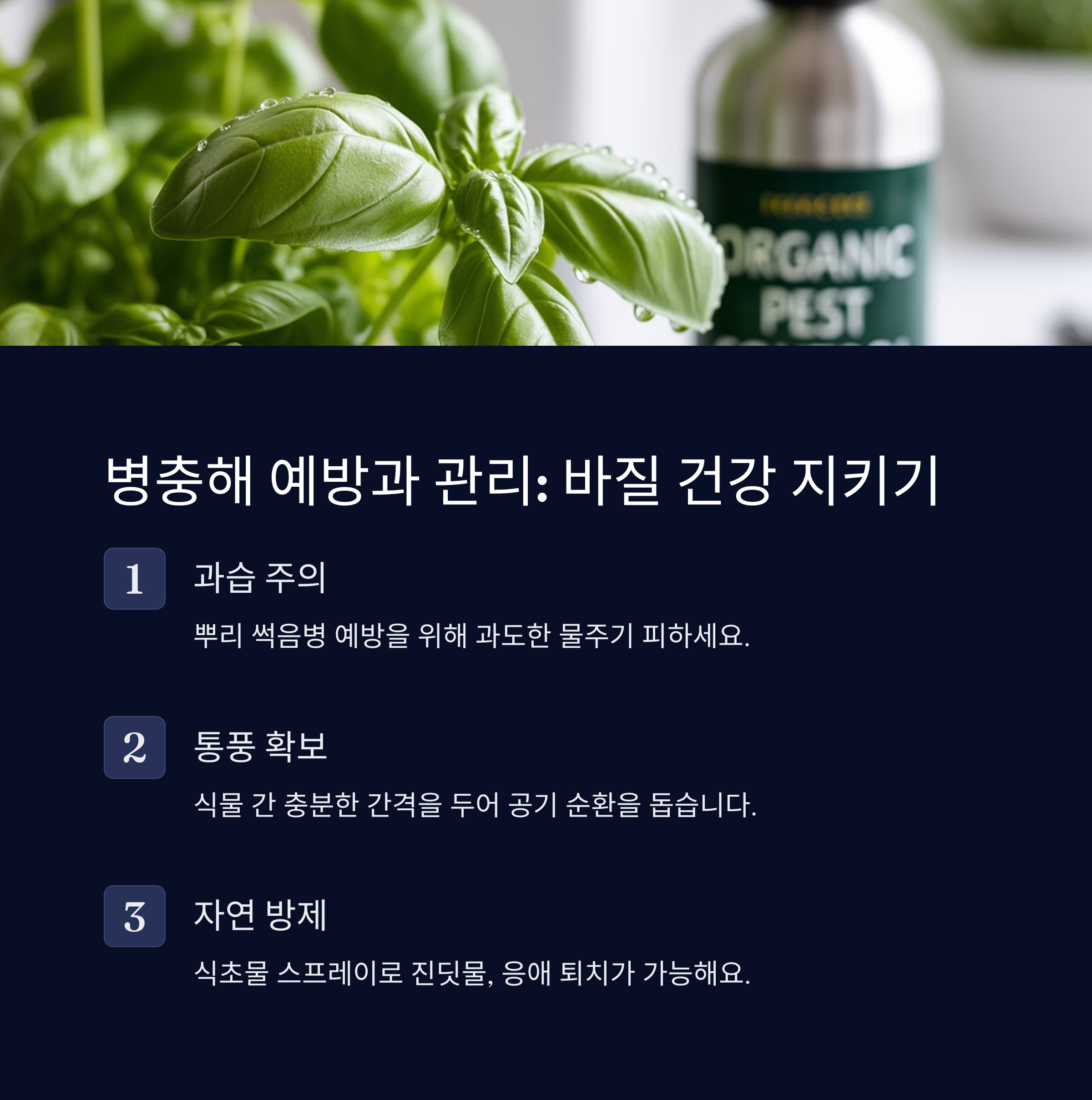 병충해 예방과 관리: 바질 건강 지키기