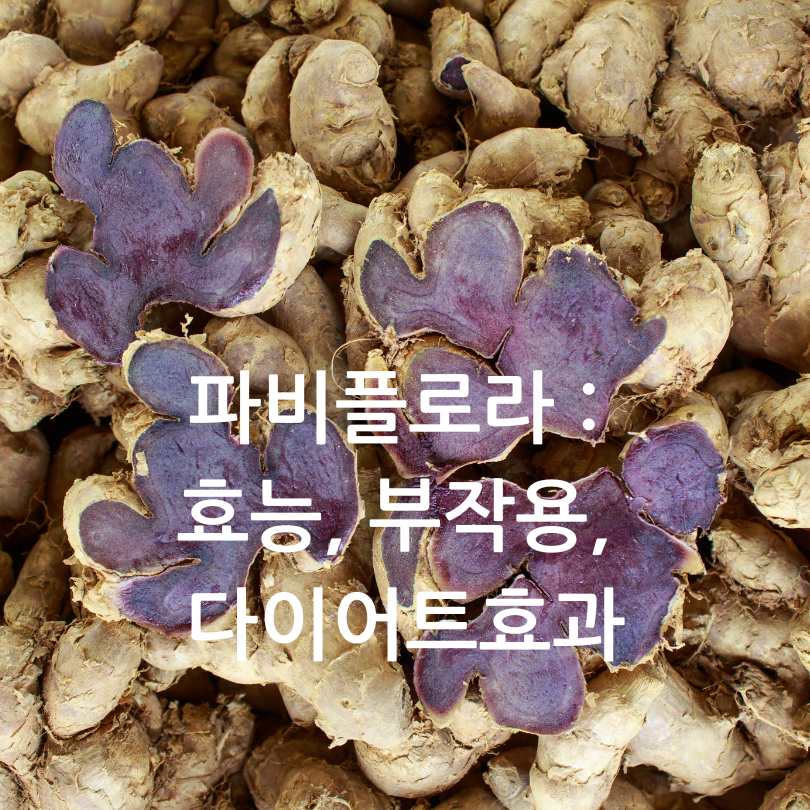 파비플로라 효능