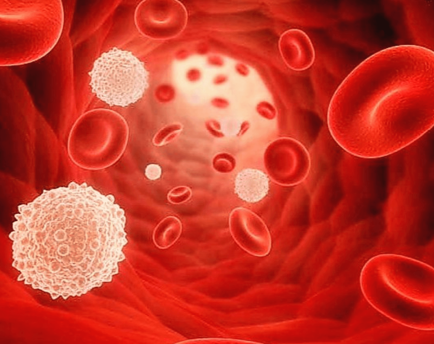 염증수치 높은 이유