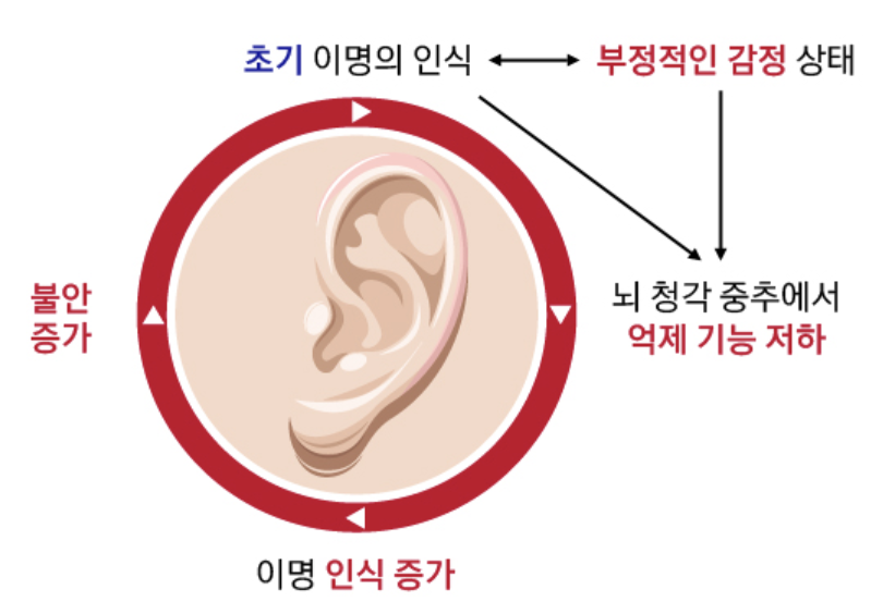 이명 치료방법, 증상 총정리 섬네일