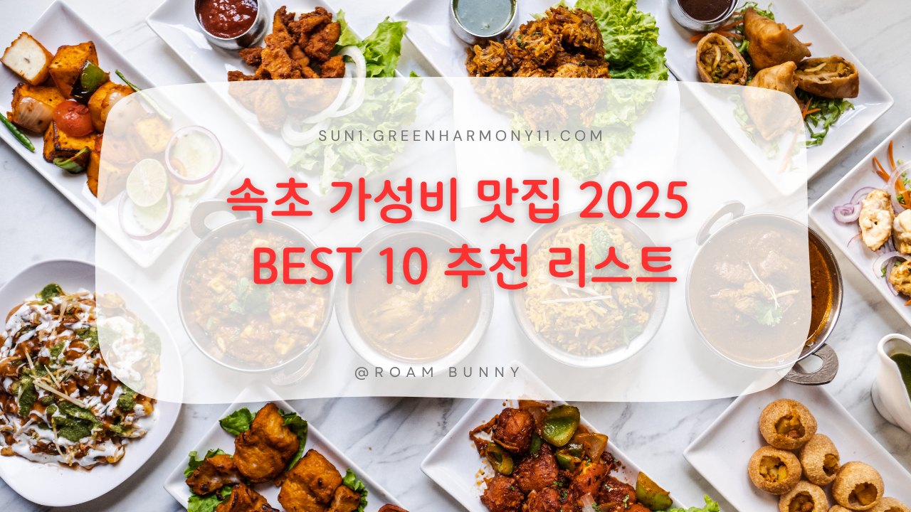 속초 가성비 맛집 2025