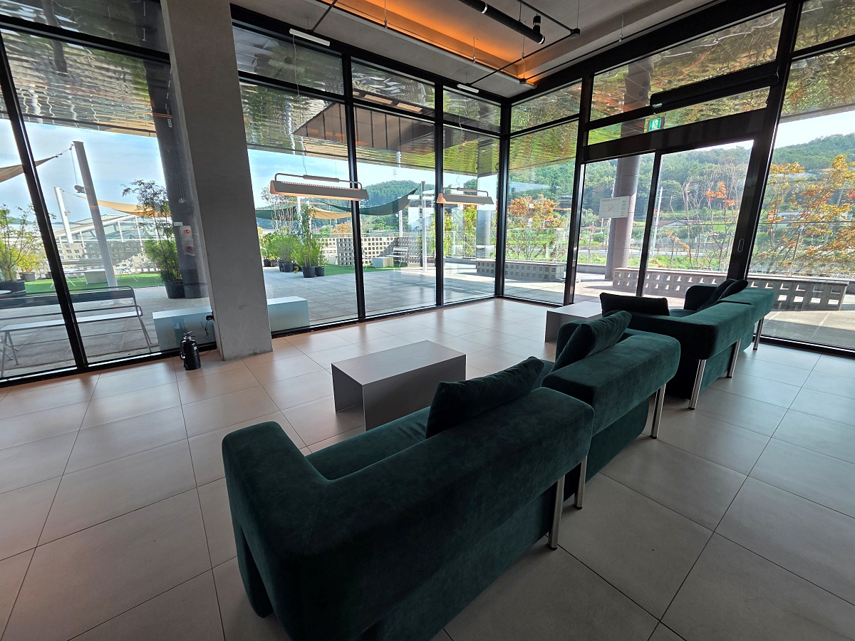 강화도 대형카페 두운리, 초록의 목수국 정원까지 즐기는 강화도 갈만한곳