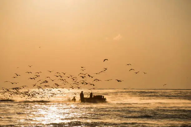 산업위생관리기사 응시자격