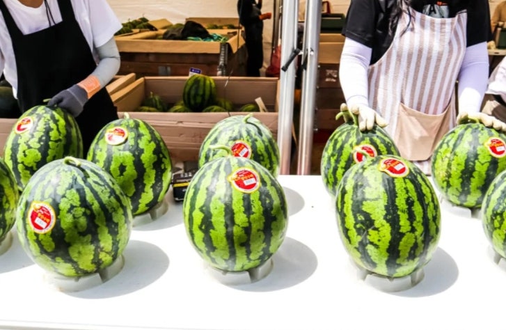 수박-중간크기선택