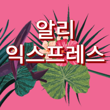 알리익스프레스