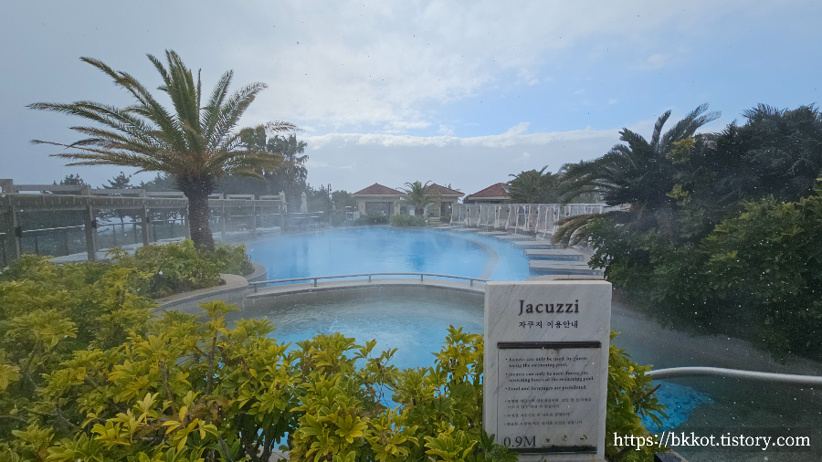 제주신라호텔 수영장