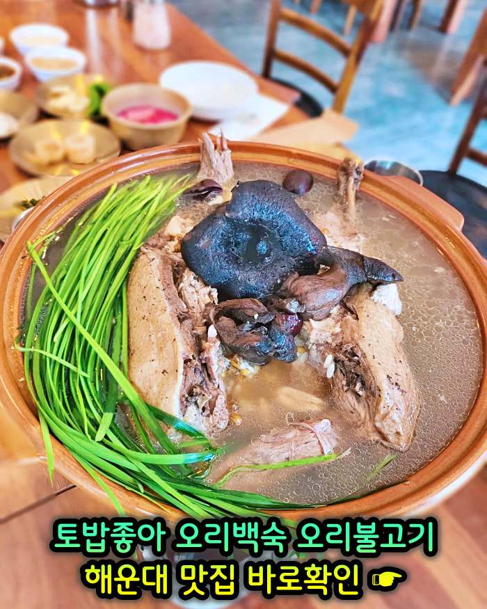 부산 해운대 맛집 무항생제 1등급 오리 백숙