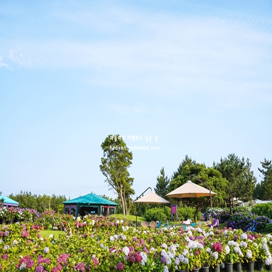 7월 제주도 가볼만한곳 10곳