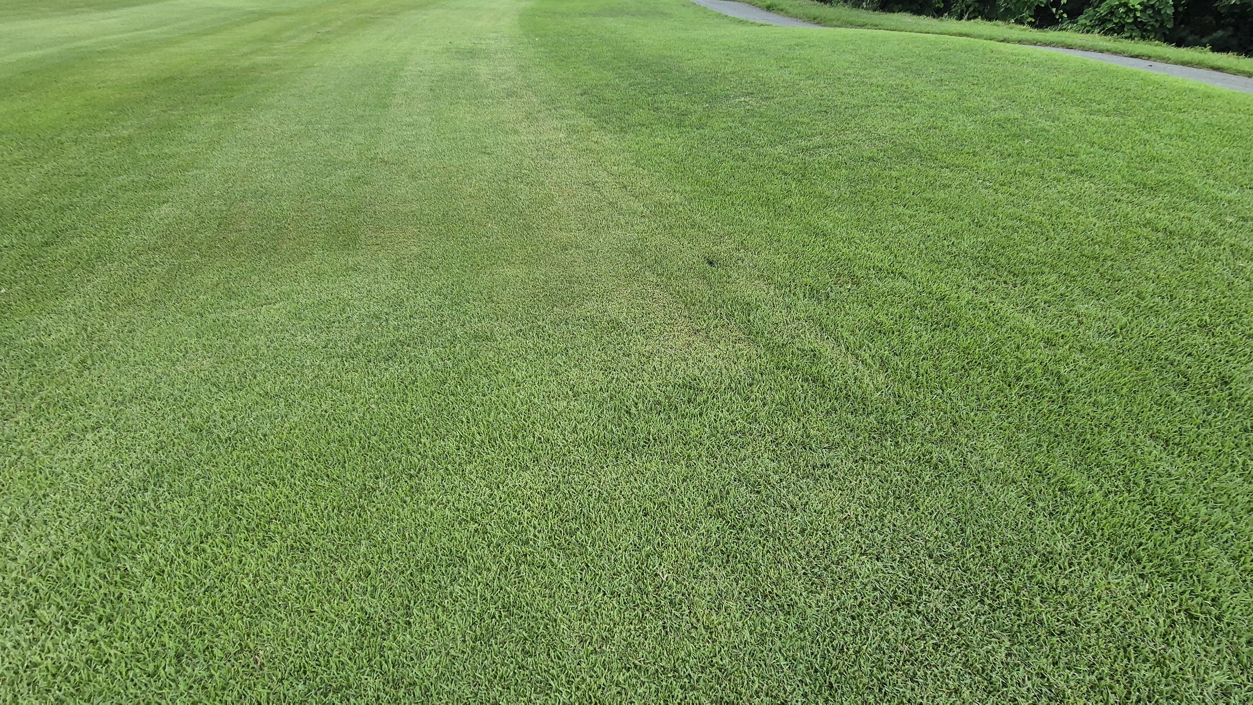 뉴서울cc 예술in-문화in 코스 라운드 후기