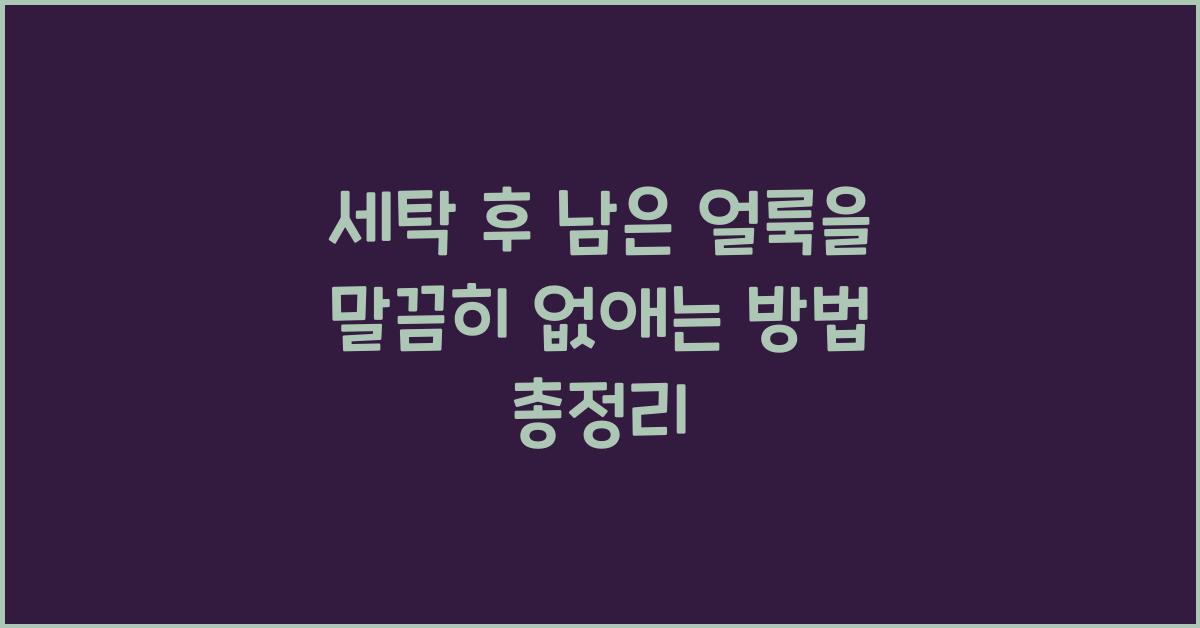 세탁 후 남은 얼룩을 말끔히 없애는 방법