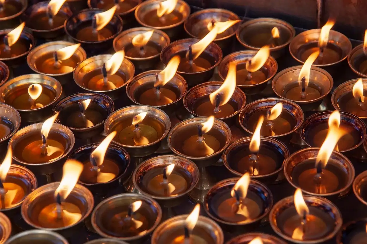 대전 식스센스 시티투어2