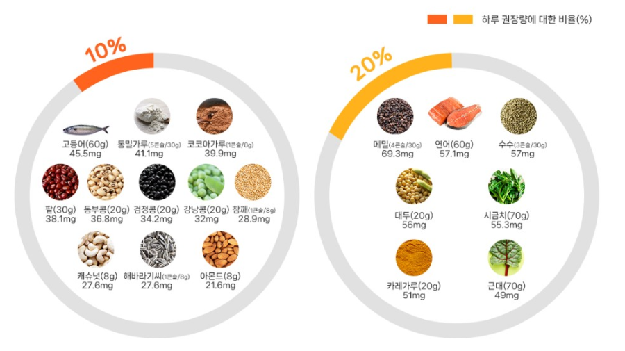 마그네슘 함유 음식과 함유량