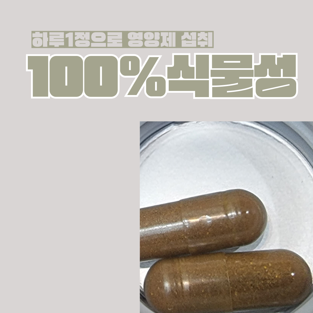 100% 식물성!