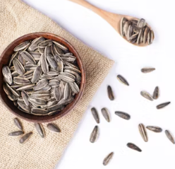 단백질 많은 음식 식물성 동물성