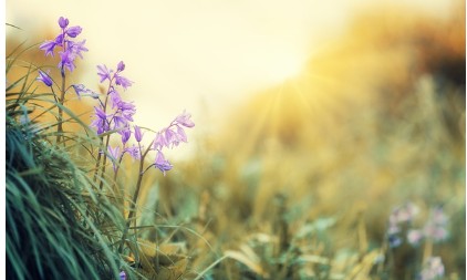 입춘대길 붙이는 시간 방법