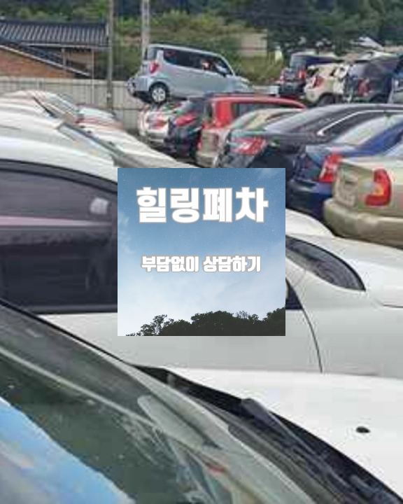 서울 송파구폐차장 영치차량폐차 번호판 상태 확인
