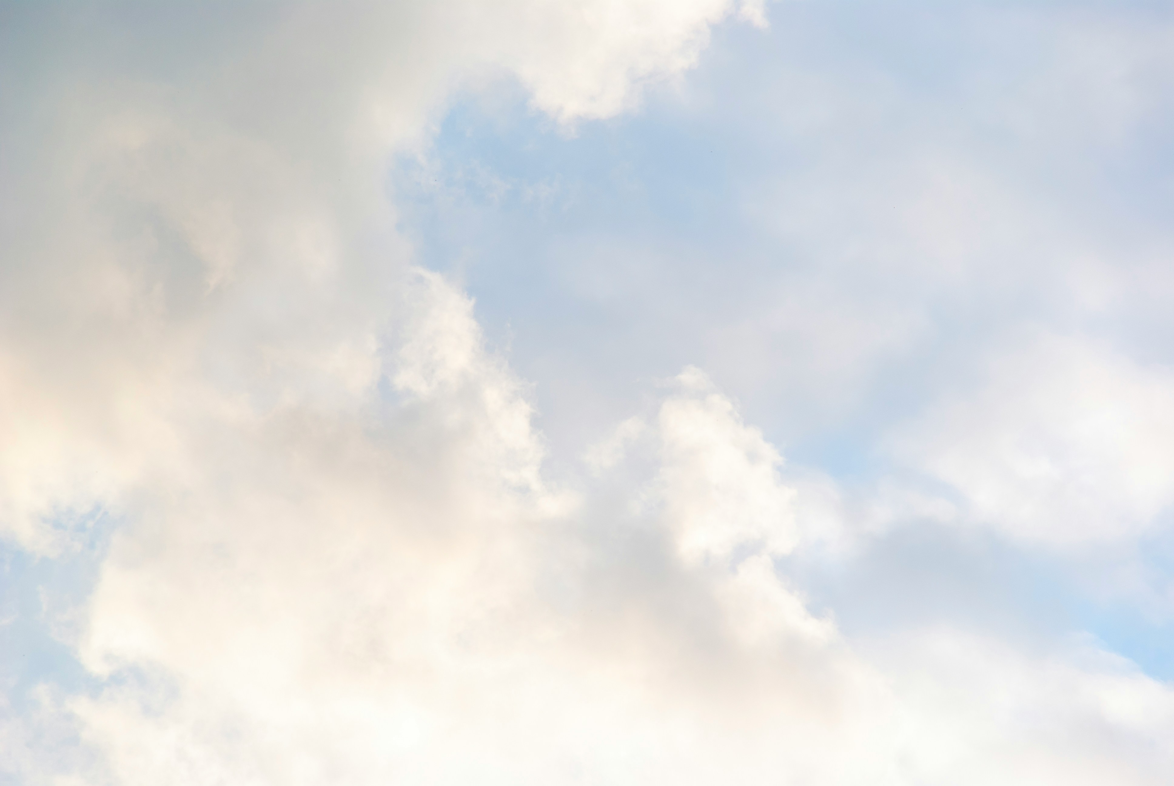 상생페이백신청방법