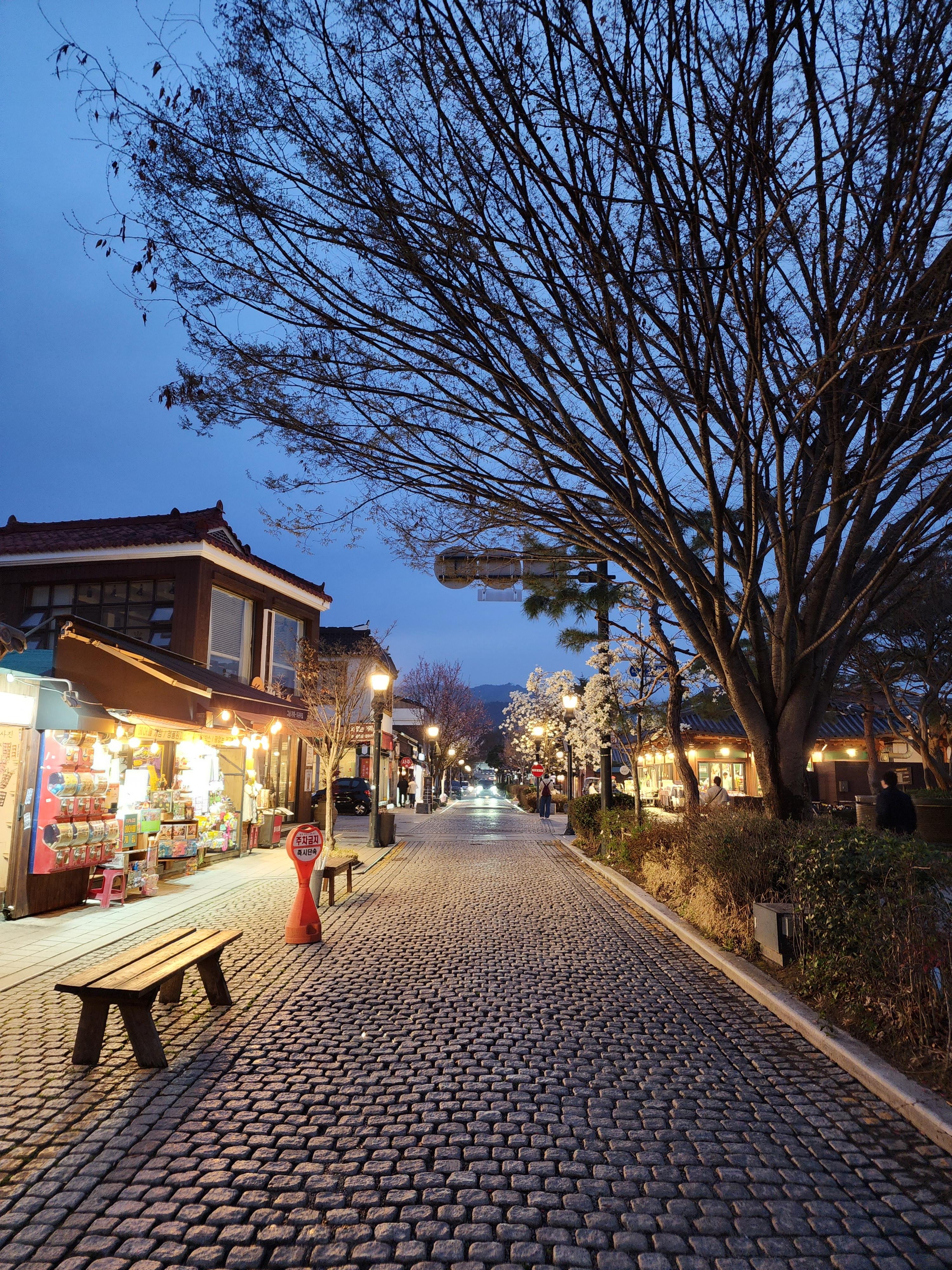 전주 애견동반 갈만한곳