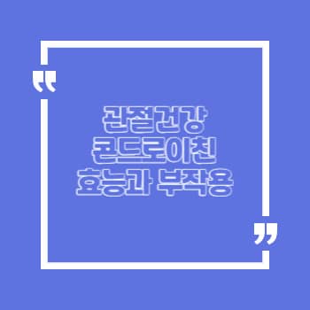 콘드로이친 효능