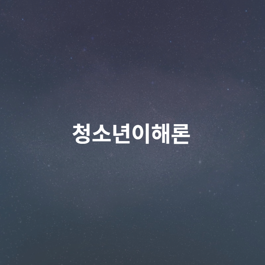청소년이해론