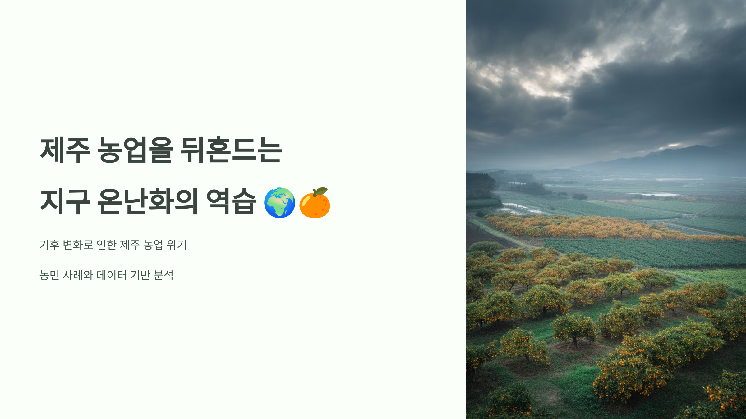 제주 농업을 뒤흔드는 지구 온난화의 역습