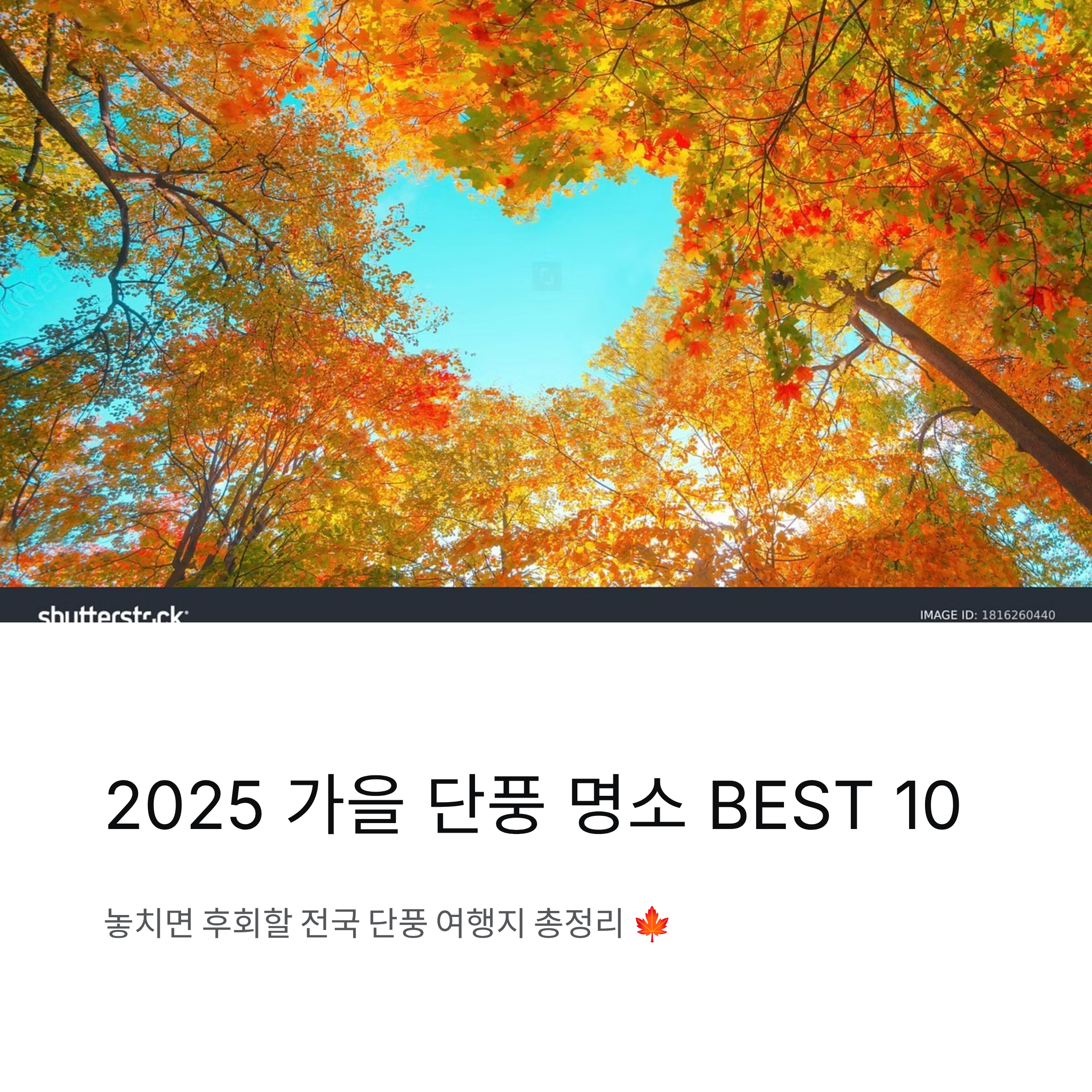 🍁 2025 가을 단풍 명소 BEST 10 — 놓치면 후회할 전국 단풍 여행지 총정리