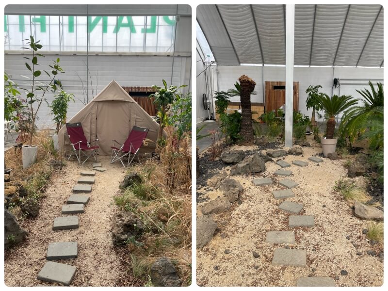 용인 맛집 식물원 카페 어반리프 - 플랜트 핏 포토존