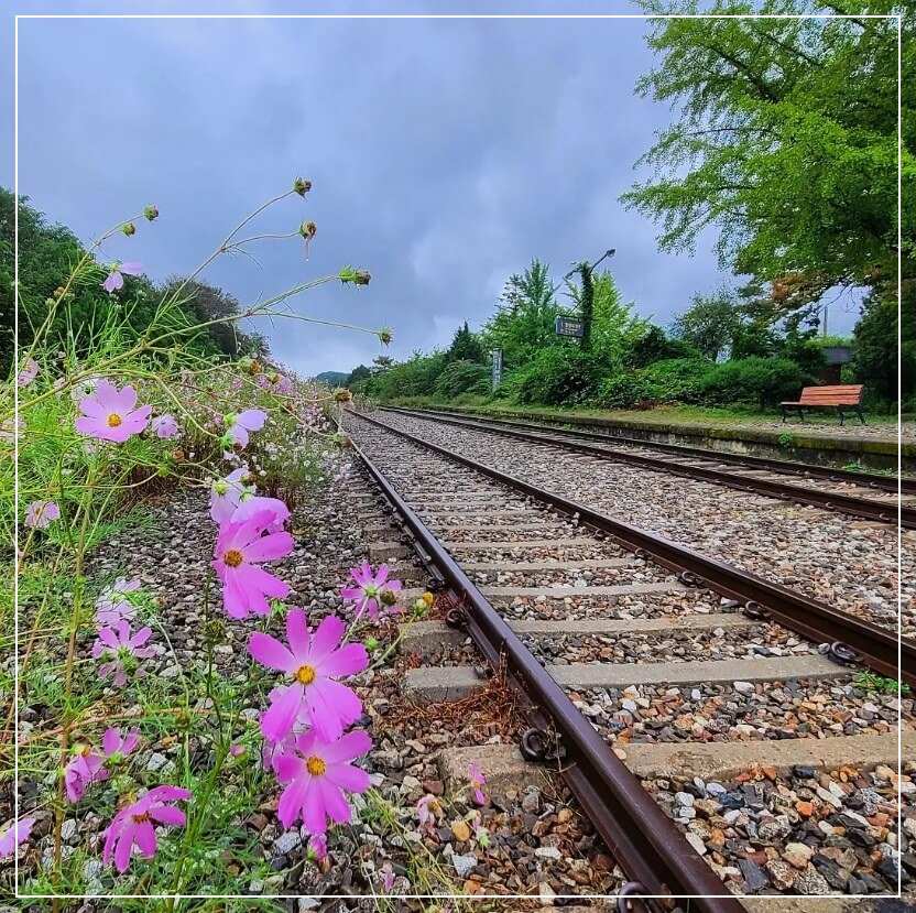 양평 가볼만한곳 베스트10 구둔역 폐역