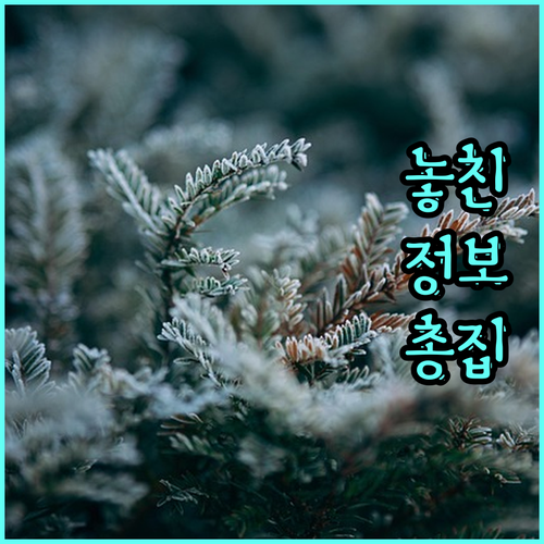 피부 나이 되돌리는 리프팅 시술 효과