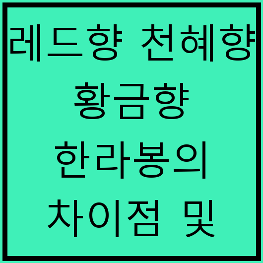 레드향 천혜향 황금향 한라봉의 차이점 및 효능 비교