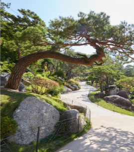 화담숲 예약 모노레일 예약 관람방법