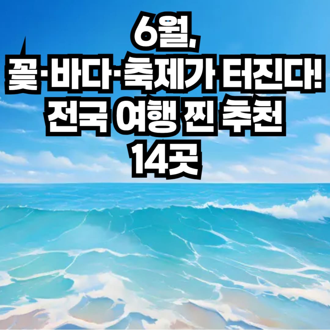6월 국내 여행지 추천|꽃 축제와 바다, 전국 여행 명소 14곳 소개
