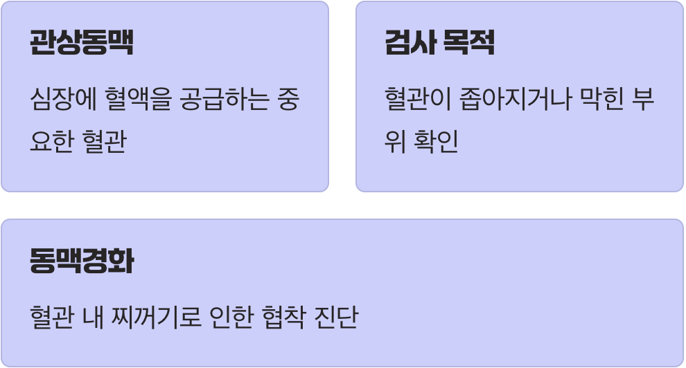 우리 몸의 엔진, 심장의 연료 파이프