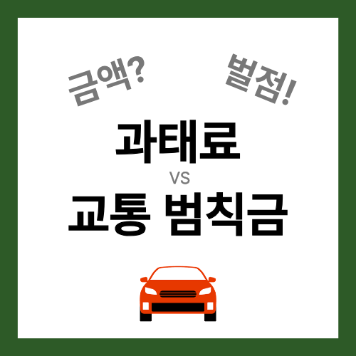 과태료 교통 범칙금 차이