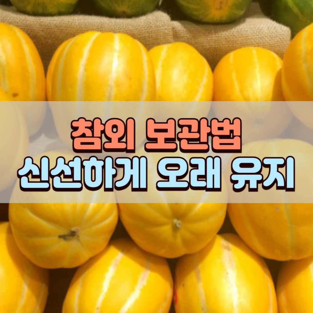 참외 보관법