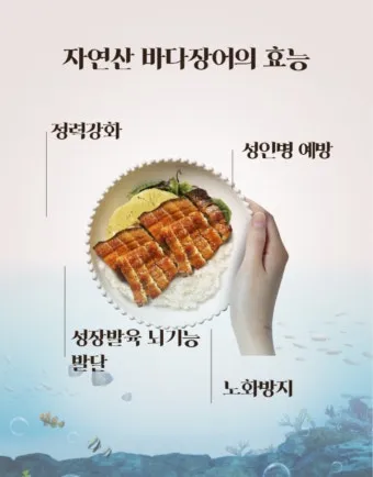 장어 효능 장어와 상극인 음식 건강 상식_3