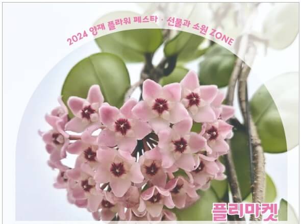 피움뜰