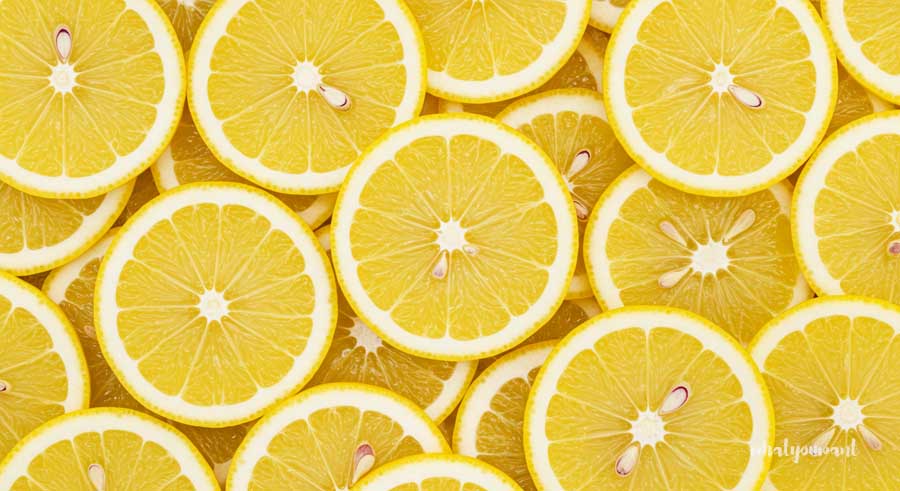 레몬물로 여름 나기