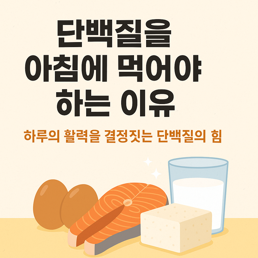 단백질을 아침에 먹어야 하는 이유