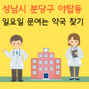 성남시 분당구 야탑동 일요일 문여는 약국 찾기