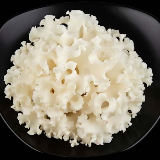 흰목이버섯, 왜 지금 주목받는가?