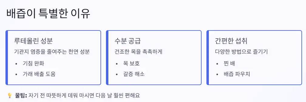 배즙 루테올린