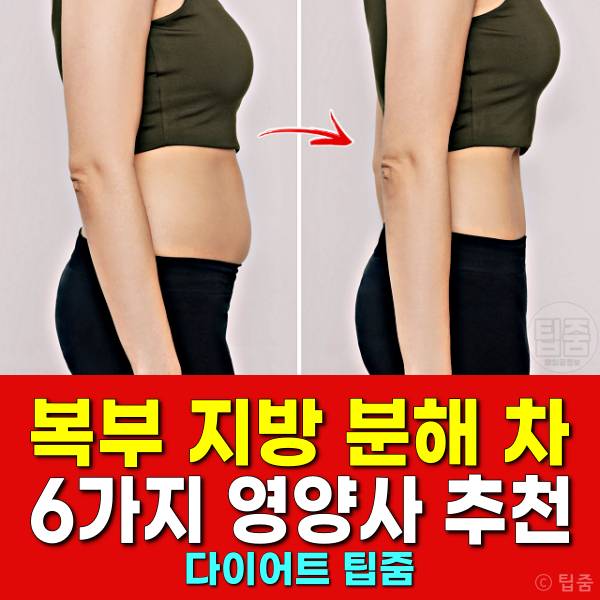 복부지방분해 차 추천 폐경 후 뱃살 관리