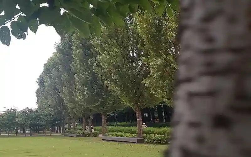 불안을 평온으로 바꾸는 심리학적 기법