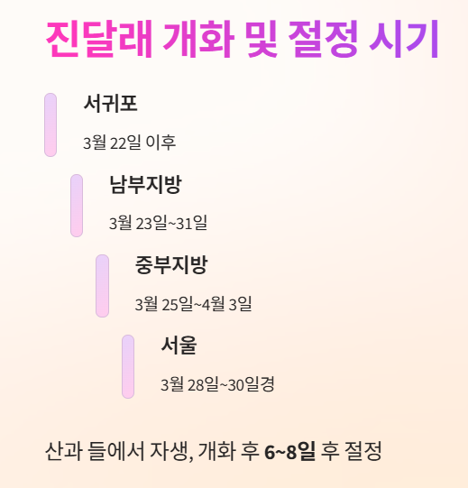 진달래 개화 및 절정 시기