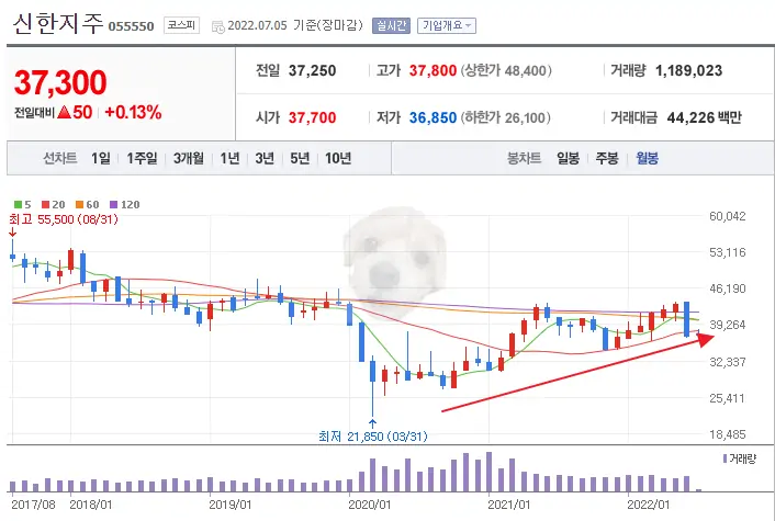 신한지주 주가 사진